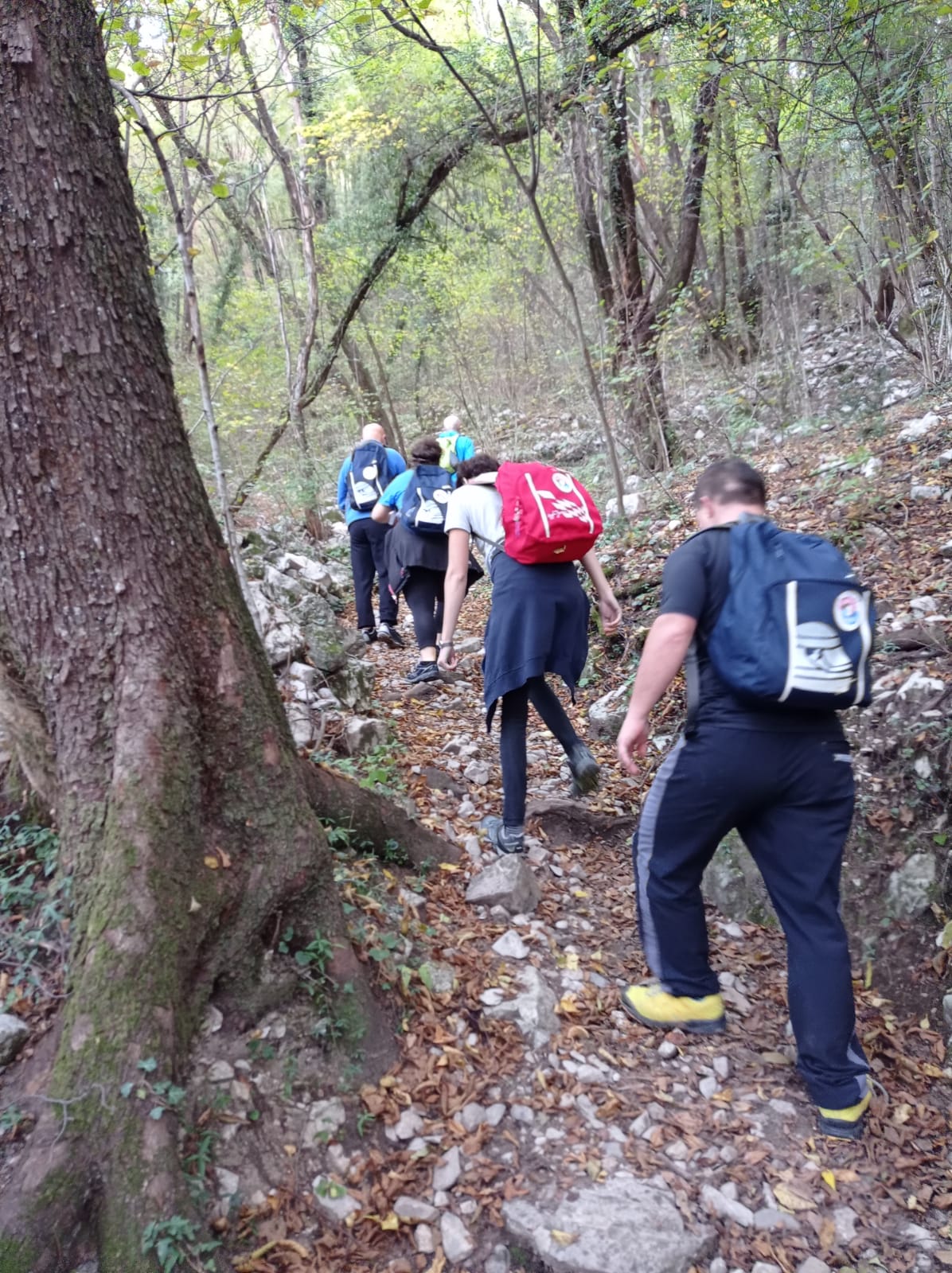 Camminata e gita a Villa Litta Borromeo